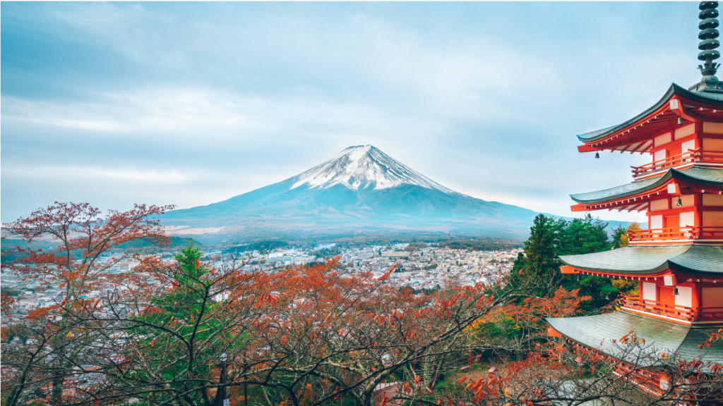 Mount Fuji View
